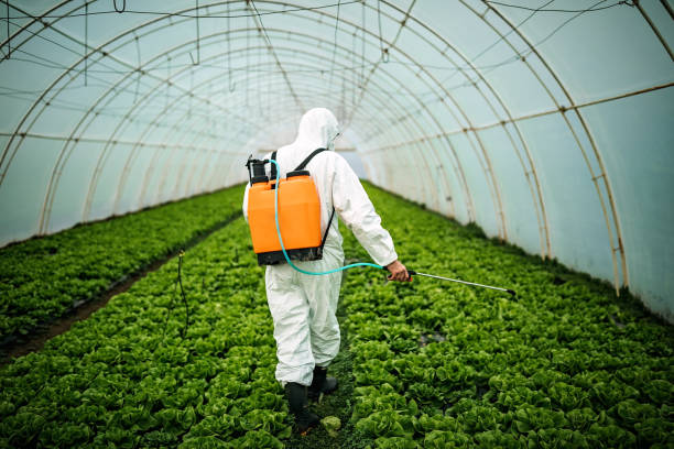 Best Pest Prevention Services  in Northlake, SC