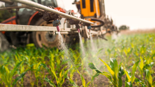Pest Control Cost in Northlake, SC